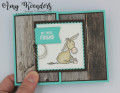 2021/02/25/Stampin_Up_Darling_Donkeys_-_Stamp_With_Amy_K_by_amyk3868.jpeg