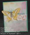 2021/03/01/thank_you_butterfly_front_by_MonkeyDo.jpg