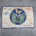 2021/03/01/Butterfly_Brilliance_Many_Messages_Moonlight_Pop-Up_Flip_Card_TLC836_by_fauxme.jpg