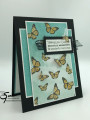 2021/03/04/Stampin_Up_Butterfly_Brilliance_-_Stamp_Wiith_Sue_Prather_by_StampinForMySanity.jpg