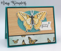 2021/03/16/Stampin_Up_Butterfly_Brilliance_-_Stamp_With_Amy_K_by_amyk3868.jpeg