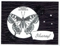 2022/04/21/butterfly_brilliance_black_white_butterfly_watermark_by_Michelerey.jpg