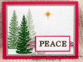 2021/08/03/Peaceful_Evergreens_by_dcmauch.JPG