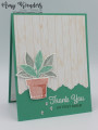 2021/05/26/Stampin_Up_Plentiful_Plants_-_Stamp_With_Amy_K_by_amyk3868.jpeg