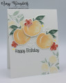 2021/06/02/Stampin_Up_Sweet_As_A_Peach_-_Stamp_With_Amy_K_by_amyk3868.jpeg