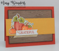 2021/07/19/Stampin_Up_Pretty_Pumpkins_-_Stamp_With_Amy_K_by_amyk3868.jpeg
