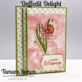 2022/02/27/Daffodil_Delight_Blended-IG_by_TamaraSemon.png