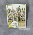 2022/02/07/Daffodil_Afternoon_DSP_small_by_Julestamps.JPG
