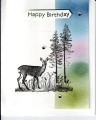 2023/04/22/032023-Grassy_Grove_Birthday_by_susie_nelson.jpg