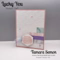 Lucky_You_
