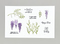 2023/02/11/Wisteria_Wishes_Index_by_n2scrappin.jpg
