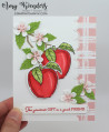 2022/08/13/Stampin_Up_Apple_Harvest_-_Stamp_With_Amy_K_by_amyk3868.jpeg