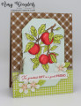 2023/07/29/Stampin_Up_Apple_Harvest_-_Stamp_With_Amy_K_by_amyk3868.jpeg