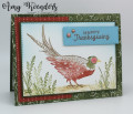 2022/10/11/Stampin_Up_Painted_Pheasant_-_Stamp_With_Amy_K_by_amyk3868.jpeg