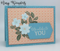 2023/03/30/Stampin_Up_Petal_Park_-_Stamp_With_Amy_K_by_amyk3868.jpeg