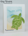 2023/01/20/Stampin_Up_Sea_Turtle_-_Stamp_With_Amy_K_by_amyk3868.jpeg