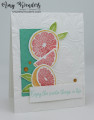 2023/01/09/Stampin_Up_Sweet_Citrus_-_Stamp_With_Amy_K_by_amyk3868.jpeg