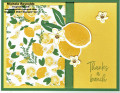 2023/03/10/sweet_citrus_lemon_thanks_watermark_by_Michelerey.jpg
