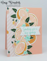 2023/06/28/Stampin_Up_Sweet_Citrus_-_Stamp_With_Amy_K_by_amyk3868.jpeg