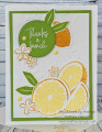2023/08/08/Hand_Stamped_Citrus_by_Gadabout.jpg