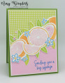 2023/12/21/Stampin_Up_Sweet_Citrus_-_Stamp_With_Amy_K_by_amyk3868.jpeg