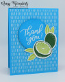 2024/01/29/Stampin_Up_Sweet_Citrus_-_Stamp_With_Amy_K_by_amyk3868.jpeg
