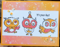 2022/12/14/SC936_owls_by_CAR372.png