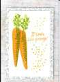 2023/01/31/Carrots_123_by_susie_nelson.jpg