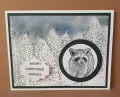2022/12/03/falliday_fest_in_the_pines_with_raccoon_by_redi2stamp.jpg
