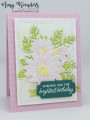2023/04/12/Stampin_Up_Cheerful_Daisies_-_Stamp_With_Amy_K_by_amyk3868.jpeg