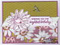 2023/04/19/cheerful_daisies_pink_daiy_birthday_watermark_by_Michelerey.jpg