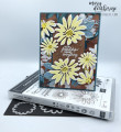 2023/07/16/Stampin_Up_Fresh_Cheerful_Daisy_Friendship_Card-_Stamps-N-Lingers1_by_Stamps-n-lingers.jpeg
