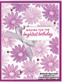 2024/03/03/cheerful_daisies_pink_daisy_birthday_watermark_by_Michelerey.jpg