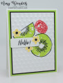 2023/05/08/Stampin_Up_Hello_Kiwi_-_Stamp_With_Amy_K_by_amyk3868.jpeg