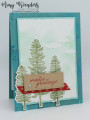 2023/09/09/Stampin_Up_Forever_Forest_-_Stamp_With_Amy_K_by_amyk3868.jpeg