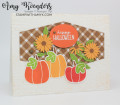 2023/09/12/Stampin_Up_Pick_Of_The_Patch_-_Stamp_With_Amy_K_by_amyk3868.jpeg