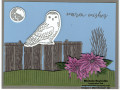 2023/10/17/winter_owls_snowy_owl_on_fence_watermark_by_Michelerey.jpg