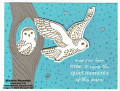 2023/11/27/winter_owls_snowy_owl_couple_watermark_by_Michelerey.jpg