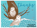 2023/12/21/winter_owls_snowy_tree_owls_watermark_by_Michelerey.jpg