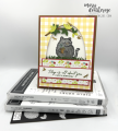 2024/01/02/Stampin_Up_Fluffiest_Friends_and_Notes_of_Nature_Birthday_Card_-_Stamps-N-Lingers0000_by_Stamps-n-lingers.png
