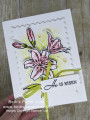 2024/01/15/Easter_lilies_stampin_up_1_by_lizzier.jpg