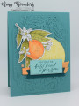 2024/04/10/Stampin_Up_Citrus_Blooms_-_Stamp_With_Amy_K_by_amyk3868.jpeg