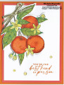 2024/05/17/citrus_blooms_best_kind_oranges_watermark_by_Michelerey.jpg