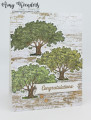 2024/04/08/Stampin_Up_Loveliest_Tree_-_Stamp_With_Amy_K_by_amyk3868.jpeg