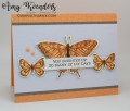 2024/05/15/Stampin_Up_Sketched_Butterflies_-_Stamp_With_Amy_K_by_amyk3868.jpeg