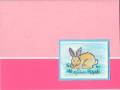 2007/03/08/Pink_Sweet_Bunny_by_ruby-heartedmom.jpg