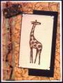 Giraffe_by