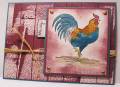 2007/03/02/Howdy_Rooster_by_Zindorf.jpg