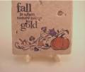 2011/08/20/fall_colors_coaster_by_kkccmom.jpg