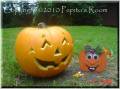 pumpkin_cl